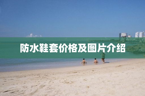 马笑容 第4页