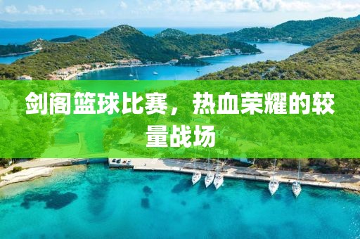 剑阁篮球比赛，热血荣耀的较量战场