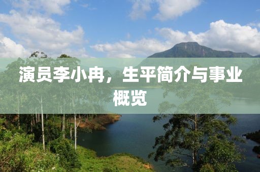 演员李小冉，生平简介与事业概览