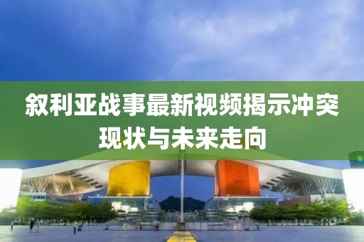 叙利亚战事最新视频揭示冲突现状与未来走向