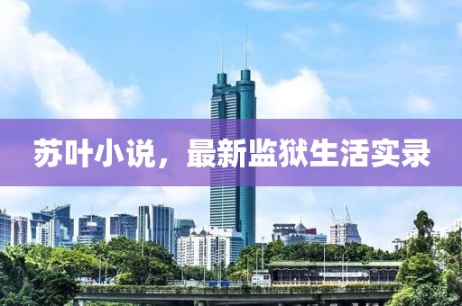 苏叶小说，最新监狱生活实录