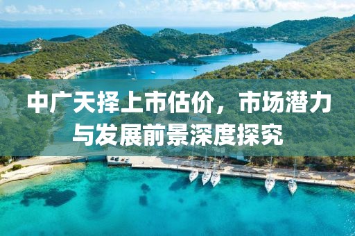 中广天择上市估价，市场潜力与发展前景深度探究