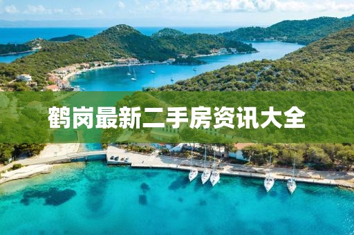兰雪艳 第4页