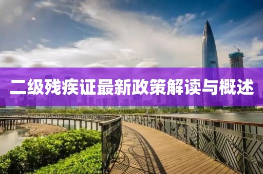 二级残疾证最新政策解读与概述