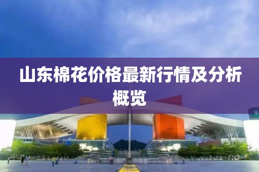 山东棉花价格最新行情及分析概览