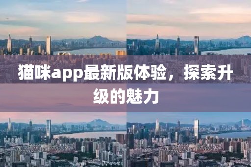 猫咪app最新版体验，探索升级的魅力
