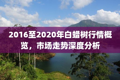 气泡砖 第138页
