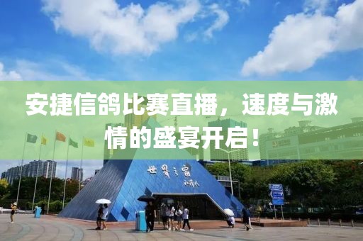 安捷信鸽比赛直播，速度与激情的盛宴开启！