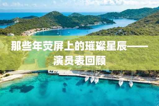 那些年荧屏上的璀璨星辰——演员表回顾