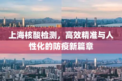 上海核酸检测，高效精准与人性化的防疫新篇章