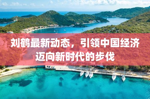 刘鹤最新动态，引领中国经济迈向新时代的步伐