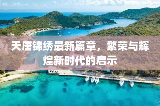 天唐锦绣最新篇章，繁荣与辉煌新时代的启示