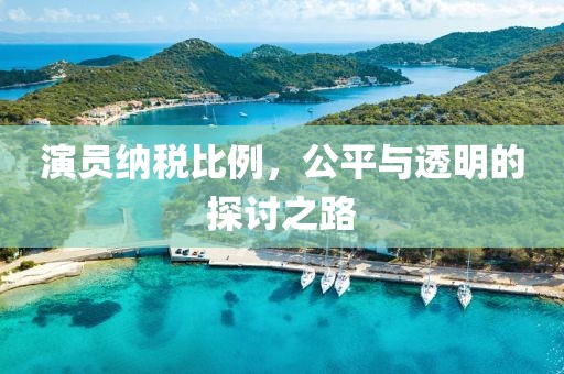 演员纳税比例，公平与透明的探讨之路