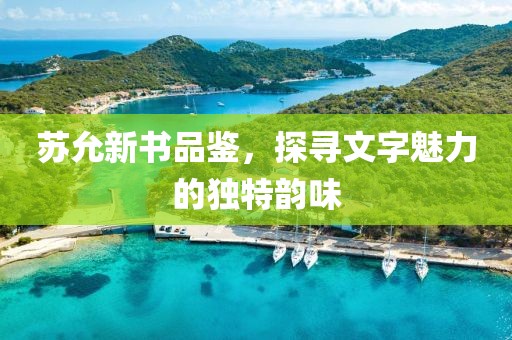 苏允新书品鉴，探寻文字魅力的独特韵味