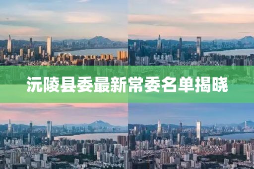 沅陵县委最新常委名单揭晓