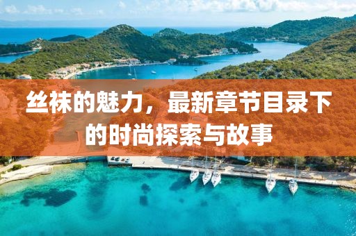 丝袜的魅力，最新章节目录下的时尚探索与故事