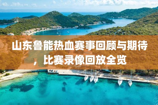 山东鲁能热血赛事回顾与期待，比赛录像回放全览
