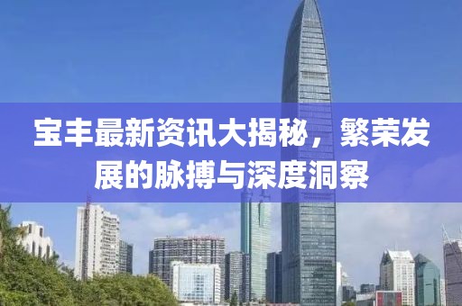 宝丰最新资讯大揭秘，繁荣发展的脉搏与深度洞察