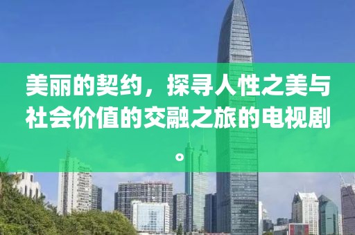 美丽的契约，探寻人性之美与社会价值的交融之旅的电视剧。