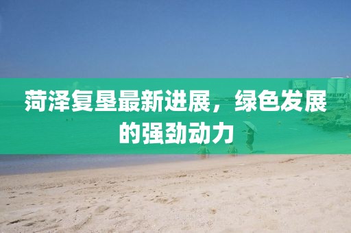 菏泽复垦最新进展，绿色发展的强劲动力