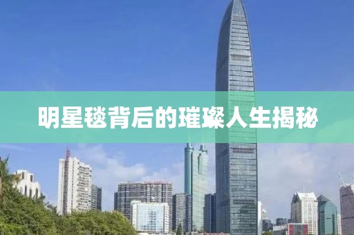 明星毯背后的璀璨人生揭秘