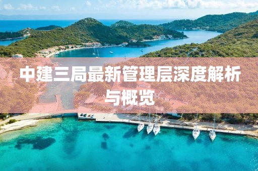中建三局最新管理层深度解析与概览