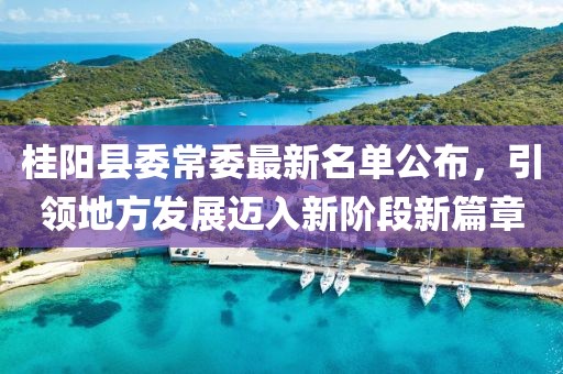 桂阳县委常委最新名单公布，引领地方发展迈入新阶段新篇章