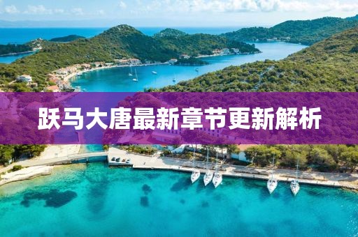 跃马大唐最新章节更新解析