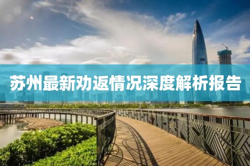苏州最新劝返情况深度解析报告