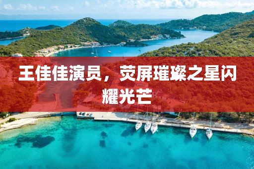 王佳佳演员，荧屏璀璨之星闪耀光芒