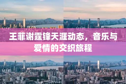 衣纶 第4页