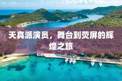 天真派演员，舞台到荧屏的辉煌之旅