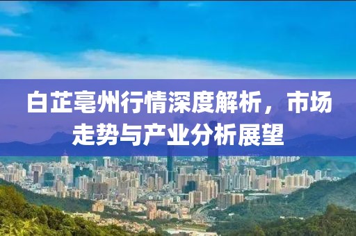 白芷亳州行情深度解析，市场走势与产业分析展望