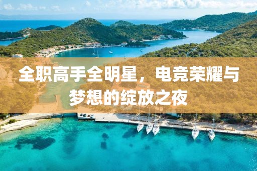 全职高手全明星，电竞荣耀与梦想的绽放之夜