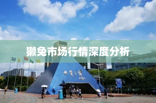 獭兔市场行情深度分析