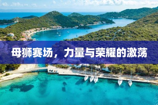 母狮赛场，力量与荣耀的激荡