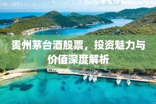 贵州茅台酒股票，投资魅力与价值深度解析