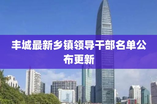 丰城最新乡镇领导干部名单公布更新