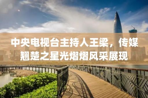 中央电视台主持人王梁，传媒翘楚之星光熠熠风采展现