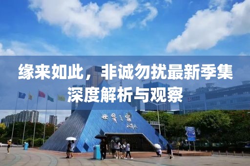 缘来如此，非诚勿扰最新季集深度解析与观察