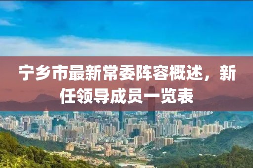 宁乡市最新常委阵容概述，新任领导成员一览表