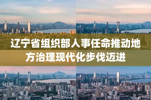 辽宁省组织部人事任命推动地方治理现代化步伐迈进