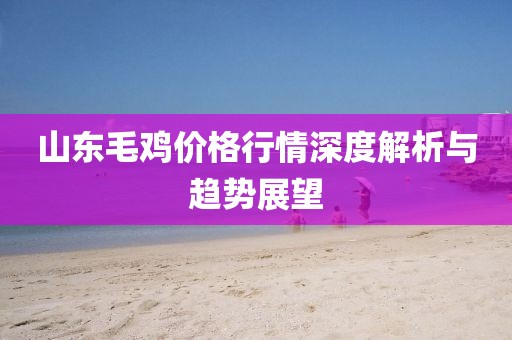 山东毛鸡价格行情深度解析与趋势展望
