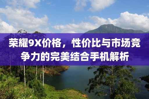 荣耀9X价格，性价比与市场竞争力的完美结合手机解析