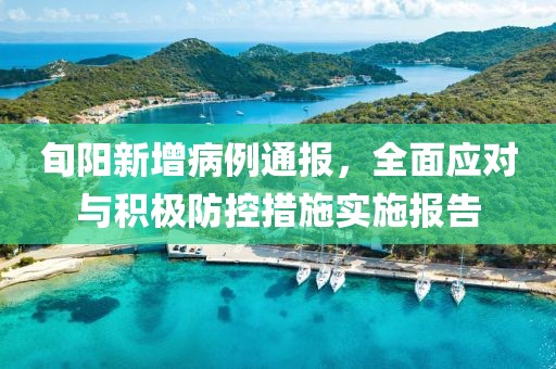 旬阳新增病例通报，全面应对与积极防控措施实施报告