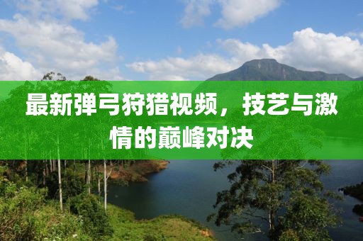 最新弹弓狩猎视频，技艺与激情的巅峰对决