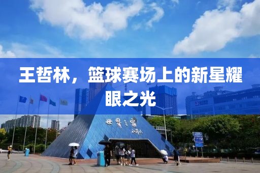 王哲林，篮球赛场上的新星耀眼之光