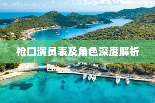 枪口演员表及角色深度解析