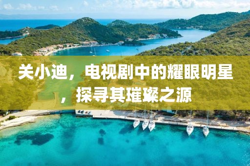 关小迪，电视剧中的耀眼明星，探寻其璀璨之源