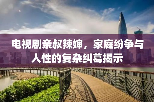 电视剧亲叔辣婶，家庭纷争与人性的复杂纠葛揭示